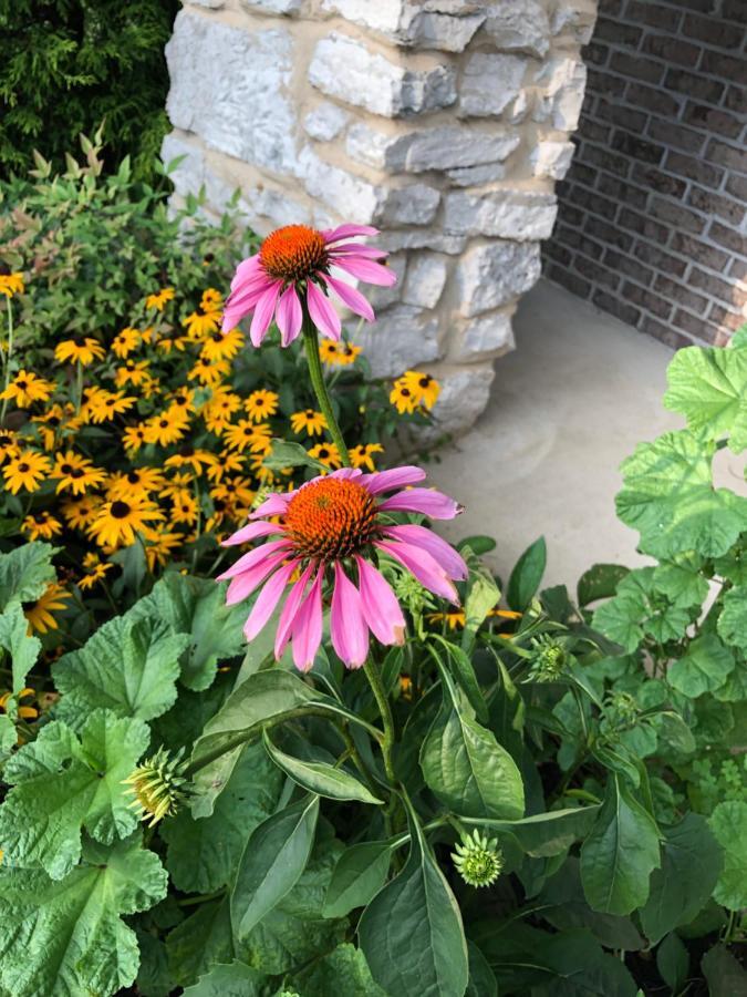 Winnie'S Bed & Breakfast Lawrenceburg Екстер'єр фото